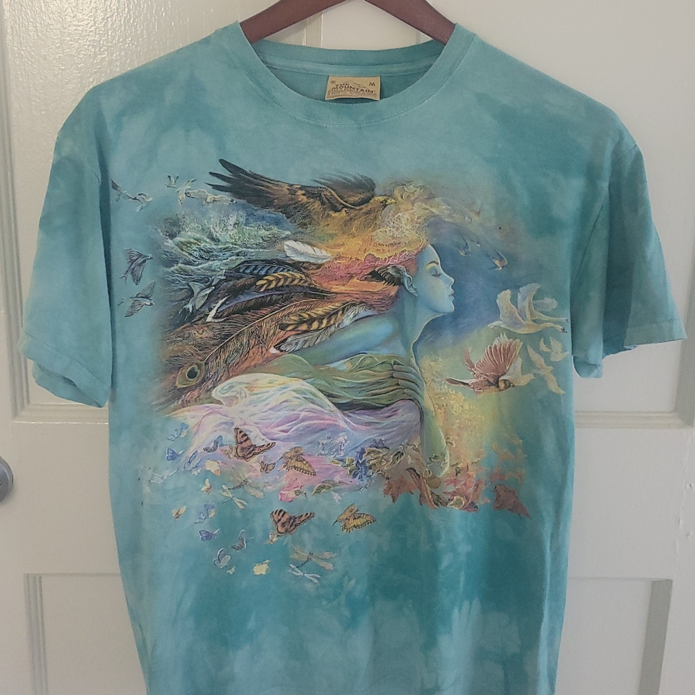Vintage The Mountain Fantasy, Fairy Art T-Shirt — Men’s Medium, Unisex, Rare